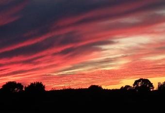 Ulsnis allows 18 year olds to book a room