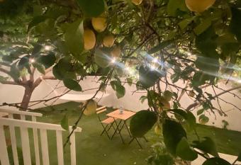 Stellina Maris has Balcony rooms