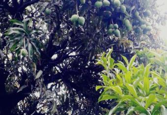 Apartaments&rooms T&T has Balcony rooms