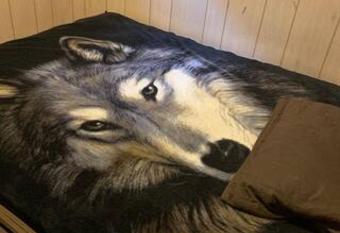 Little Heavens allows 18 year olds to book a room