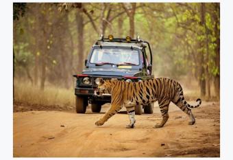 Dandeli resort s allows 18 year olds to book a room