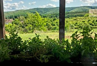 Casuta de vacanta Mini   II has Balcony rooms