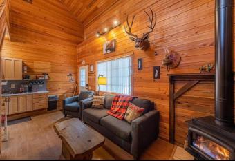 Cabin #1 Buffalo Herd -Pet Friendly - Sleeps 6 - Playground & Game Room allows 18 year olds to book a room