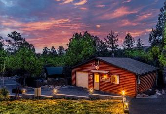 Cabin #6 Bobcat Bunkhouse - Pet Friendly - King Bed - Sleeps 4 has Balcony rooms