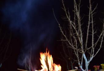 Crested View Kufri -Orchard Villa has Balcony rooms