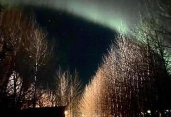 Audkula Dome Cabin has Balcony rooms