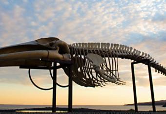 Villa Carol 629 has Balcony rooms