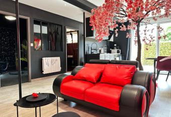 Suite Jeux d   Amour Jacuzzi / Love Room allows 18 year olds to book a room