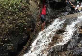 Safaryinn coorg has Balcony rooms