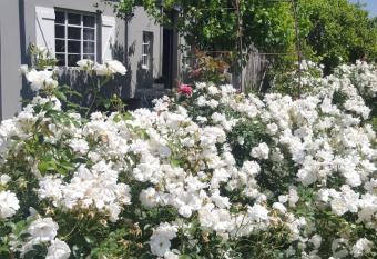Riverside Cottage has Balcony rooms