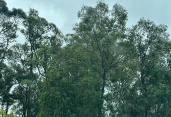 Casita R  stica cerca del arroyo y playas has rooms with a private hot tub