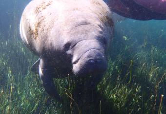 Sweet retreat in the springs NOT waterfront property allows 18 year olds to book a room