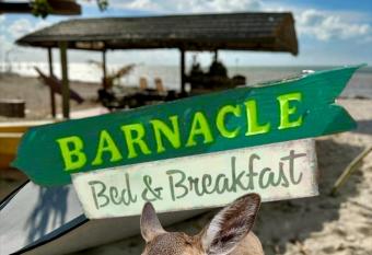 Barnacle Bed and Breakfast allows 18 year olds to book a room