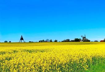 Holiday home Svaneke XXX has Balcony rooms