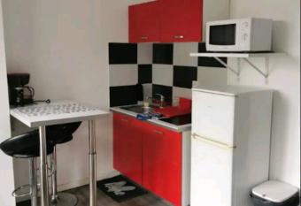 Studio 7 en plein coeur du centre ville berthelot allows 18 year olds to book a room