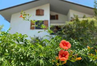 Via Verdi 14 has Balcony rooms