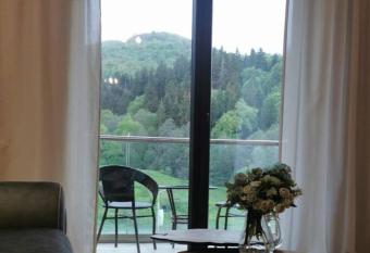 River view deluxe apartment allows 18 year olds to book a room