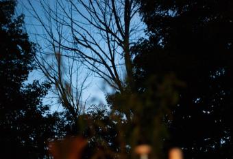 Serenity has Balcony rooms