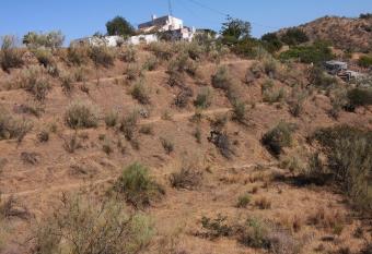 Finca La Pimienta allows 18 year olds to book a room