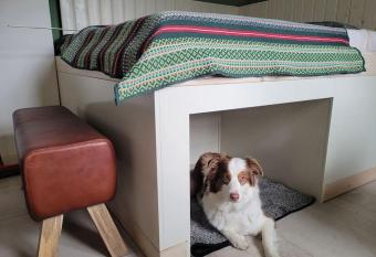 Fewo Schwalbennest im Hillehof allows 18 year olds to book a room