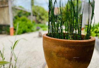 La Poterie allows 18 year olds to book a room