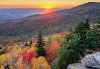 Dollywood Retreat allows 18 year olds to book a room