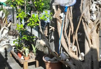 Ravehei smile papeete punaauia allows 18 year olds to book a room