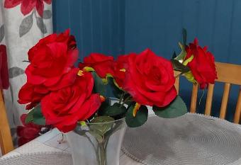 RED ROSE RETREAT allows 18 year olds to book a room