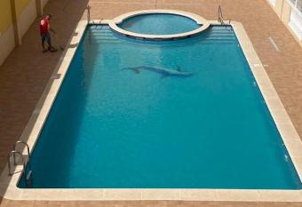 Almoradi has Balcony rooms