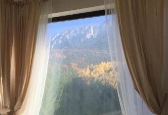 Villa & SPA 4Temporadas BASM - Plaiul Foii has rooms with a private hot tub