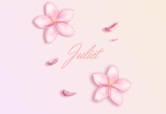 apartment belgrade juliet allows 18 year olds to book a room