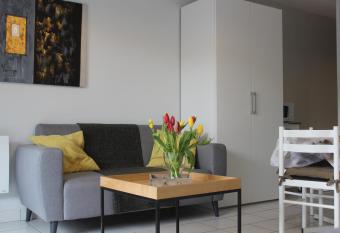 R  sidence Alma, studios face aux thermes allows 18 year olds to book a room