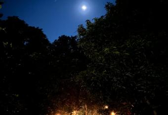 Art forest experience has Balcony rooms