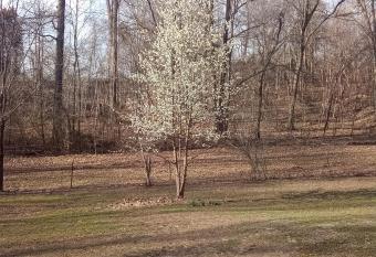 Grays fishing and hunting rental has Balcony rooms