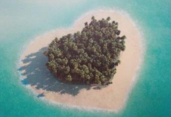 Superbe appartement c  ur de ville Fort de France allows 18 year olds to book a room