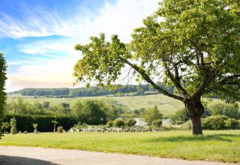 Gite L orchid  e allows 18 year olds to book a room