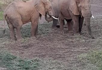 Ndlovu Log Home Dinokeng has Balcony rooms