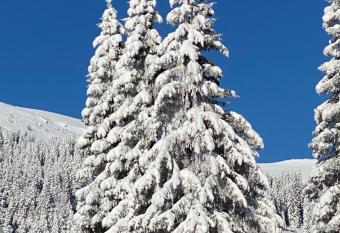 Ferienwohnung Lachtal has Balcony rooms