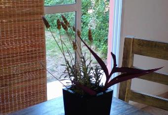 Bella vista a las sierras allows 18 year olds to book a room