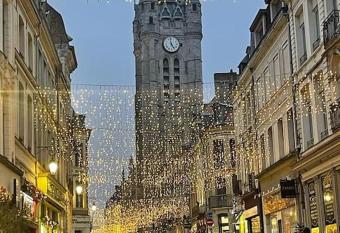 Charmant studio de 25m  , Douai allows 18 year olds to book a room