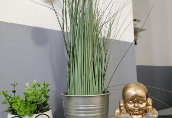 Studio KID has Smoking rooms