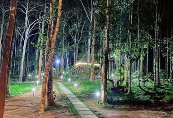 Tall Trees - Modern forest Villa in Wayanad allows 18 year olds to book a room