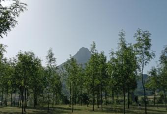 (null) allows 18 year olds to book a room