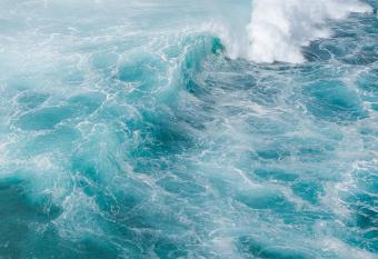 The Patio at Monaco Tower has Balcony rooms