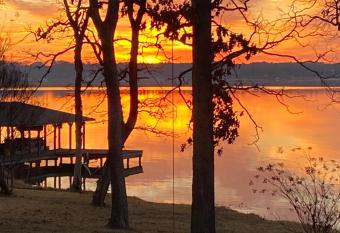 Paradise on Palestine has Balcony rooms