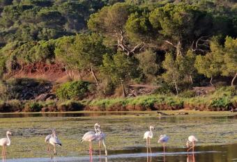 Mongofre Agroturismo allows 18 year olds to book a room