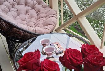 Chalet Ivanna has Balcony rooms