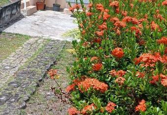 Studio de la Pointe allows 18 year olds to book a room