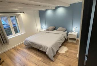 Charmant F2 au c  ur de Nancy allows 18 year olds to book a room