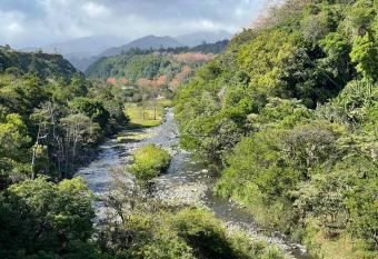 (null) has Balcony rooms